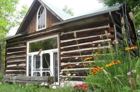 Woodland Gallery, Kathy M Haycock