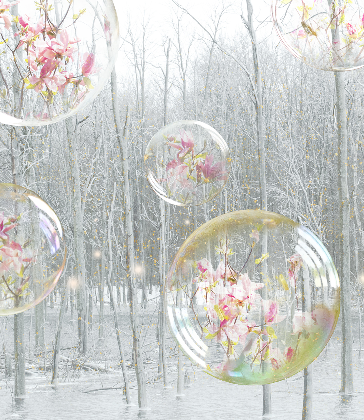 Jessica Lin Photography